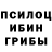 Галлюциногенные грибы Psilocybe Hard Faer