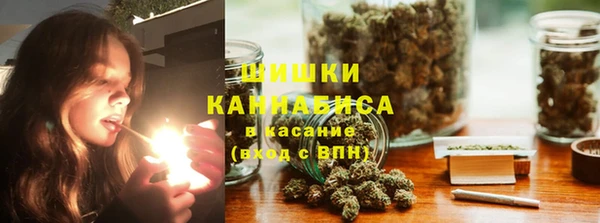 стафф Кулебаки
