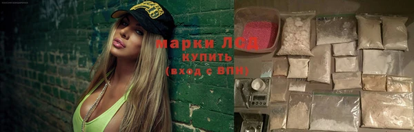 a pvp Кукмор