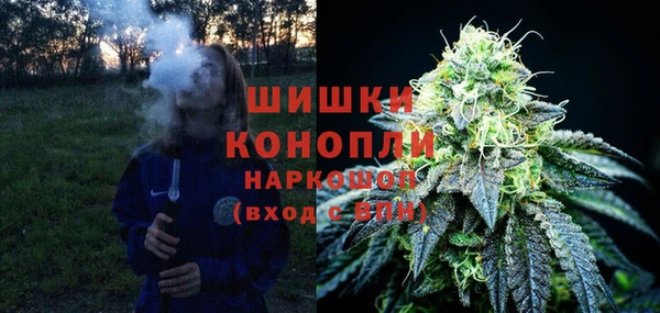 стафф Кулебаки