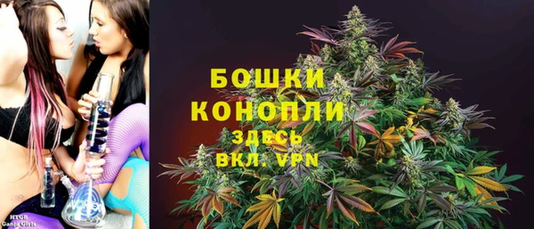 стафф Кулебаки
