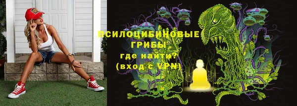 альфа пвп Куйбышев