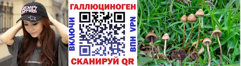 Галлюциногенные грибы Magic Shrooms  Купить закладки  Дегтярск 